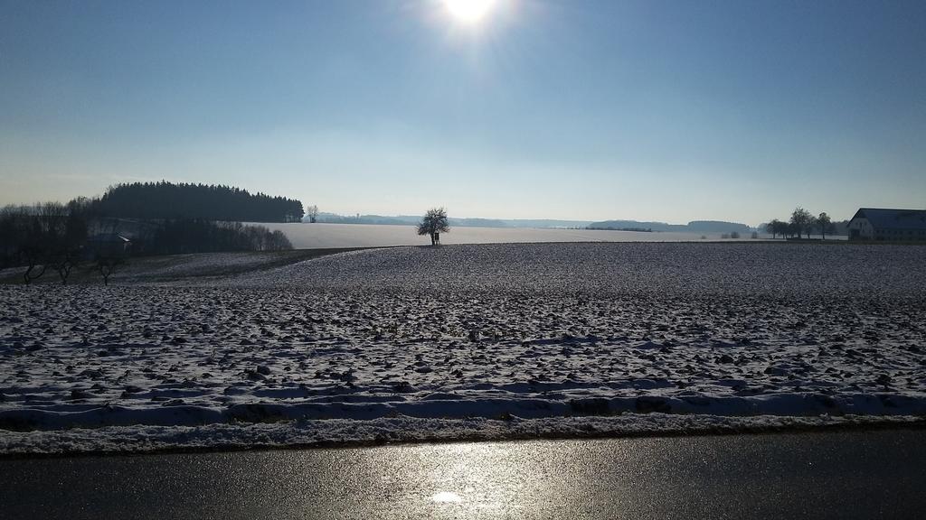 Pension Weinbauer Hofkirchen im Traunkreis エクステリア 写真